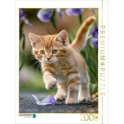 CALVENDO Puzzle Ob ich damit wohl spielen kann | 2000 Teile Lege-Größe 90x67cm Foto-Puzzle für glückliche Stunden, von , Calvendo Puzzle
