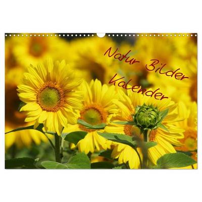 Natur Bilder Kalender (Wandkalender 2027 DIN A3 quer), CALVENDO Monatskalender
