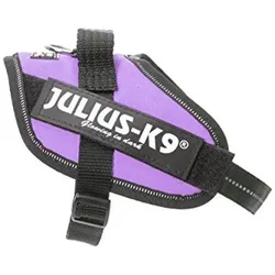 Julius-K9 IDC Powergeschirr Lila (Hund, Allgemein, Spazieren), Halsband + Leine