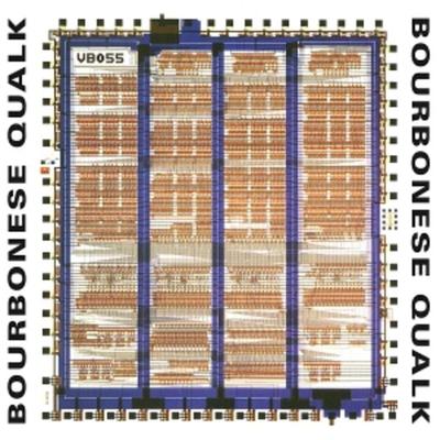 My Government Is My Soul - Bourbonese Qualk, Vinyl