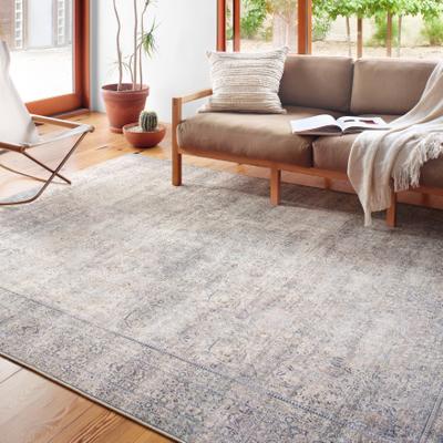 Alexander Home Sophia Printed Vintage Botanical Area Rug