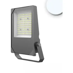 ISOLED LED Fluter HEQ, IP66, 50W, symmetrisch, Kabel offen, schwenkbar, 5700K 5750lm 30° ISO-115099