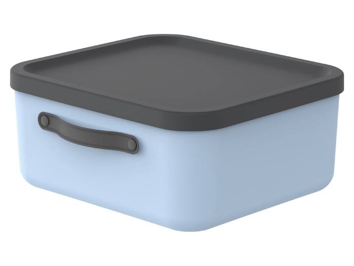 Rotho Aufbewahrungsbox mit Deckel Mythen 39.5 × 38 x 17.7 cm 20 l