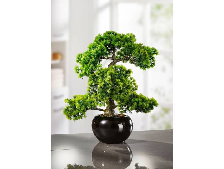 Lärchen-Bonsai in schwarzem Keramiktopf, Grün