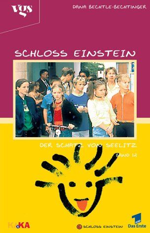 Dana Bechtle-Bechtinger - Schloss Einstein, Bd.12, Der Schatz von Seelitz - Preis vom 11.10.2026 15:43:13 h