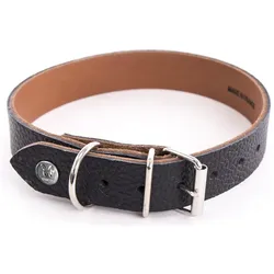 Martin Sellier Allure (Hund, Allgemein, Spazieren), Halsband + Leine