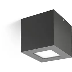 Performance in Light LED-Anbauleuchte 304489