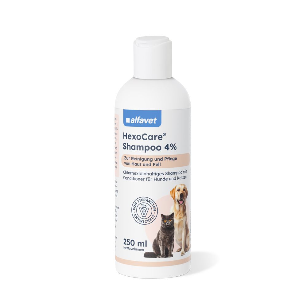 Hexocare Shampoo 4% f.Hunde u.Katzen 250 ml