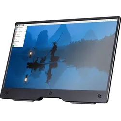 Raspberry Pi Display (Display), Elektronikmodul