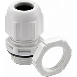 Wiska, Kabelverbindung, Kabelverschraubung ESKV-SET 40 M40 lgr incl.Gegenmutter 16-28 10066529