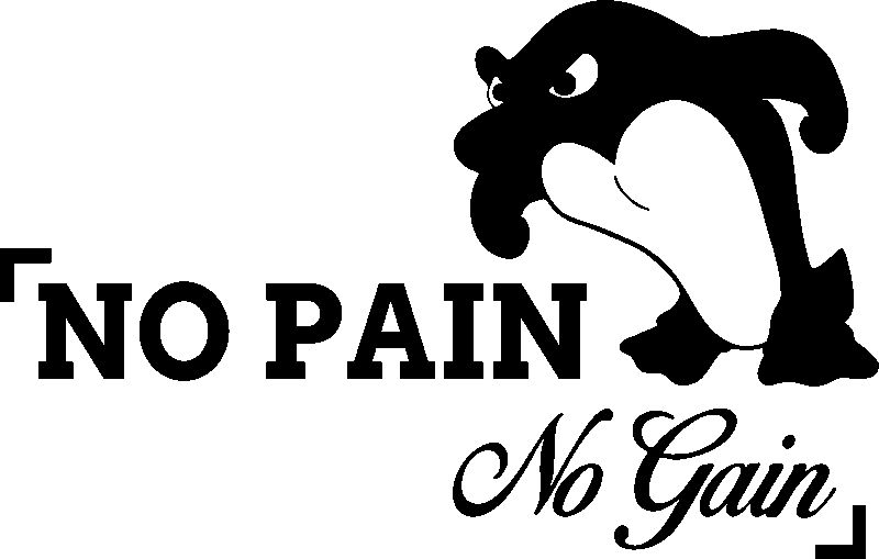 Ambiance-sticker Sticker No pain no gain fun