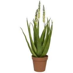 Kunstpflanze AGAVE (DH 100x100 cm) - DH 100x100 cm