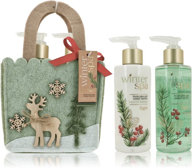 Accentra Winter Spa Hand Care Set gift set for hands 1 pc
