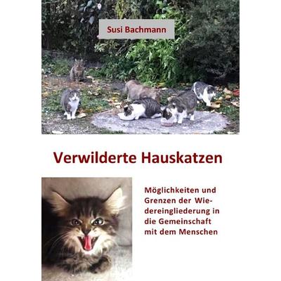 Verwilderte Hauskatzen, Taschenbuch von Susi Bachmann, Epubli, 978-3-7575-1291-0