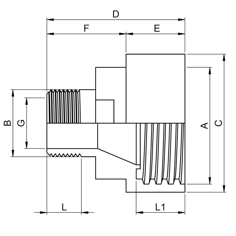 REKUBIK IBC Edelstahl Adapter S60x6 - Außengewinde Reduzierung (SS316L) 1" AG IBCF60BSPM100-SS
