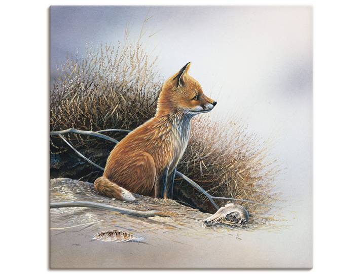 Leinwandbild ARTLAND Kleiner Fuchs , braun (farbe bild(er): braun), B:30cm H:30cm, Bilder, Leinwandbild, auf Holzrahmen gespannt