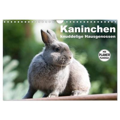 Kaninchen - knuddelige Hausgenossen (Wandkalender 2027 DIN A4 quer), CALVENDO Monatskalender