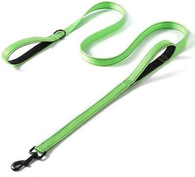 Inspired Living DualGrip Heavy Duty Dog Training Leash For Large & Medium Dogs green 2.5x150cm