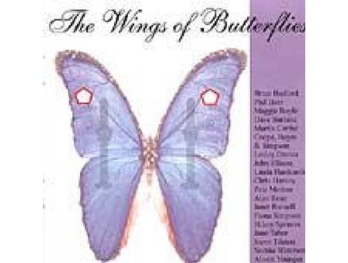 The Wings Of Butterflies