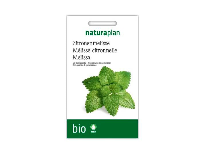 Bio Zitronenmelisse