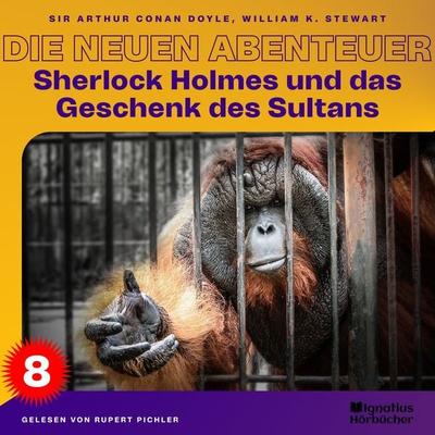 Sherlock Holmes und das Geschenk des Sultans (Die neuen Abenteuer, Folge 8) - Arthur Conan Doyle,William K. Stewart, Audio, 9783991489603