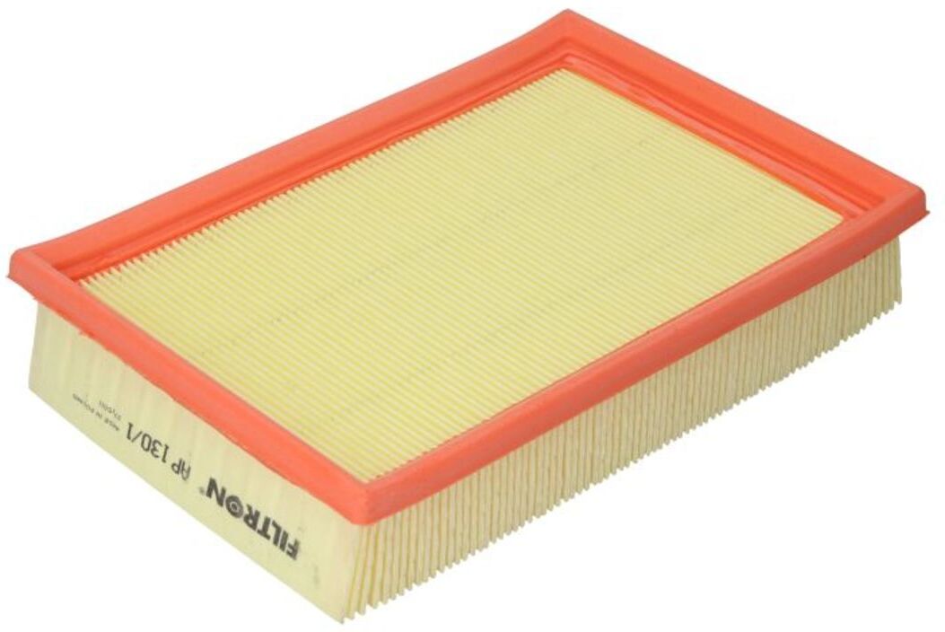 Filtron Filtro aria AP130/1