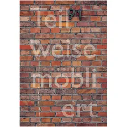 Teilweise möbliert, exzellente Aussicht. Ortsspezifische Kunst für Haus Lange, Fachbücher von Hans Dickel, Katia Baudin, Sylvia Martin