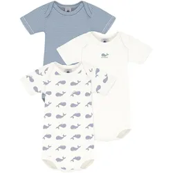 Petit Bateau 3er-Pack Bodys kurzarm Ringel Wale, natur | blau, 62