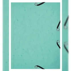 Exacompta 555663E 10x Karteikarten-Set mit Sammelmappe (3 Klappen, Gummizugverschluss) und 25 Karteikarten A5, kariert, Kollektion AquarelPastellgrün