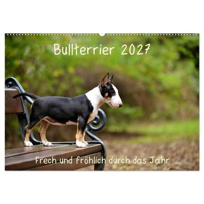 Bullterrier 2027 Frech und fröhlich durch das Jahr (Wandkalender 2027 DIN A2 quer), CALVENDO Monatskalender