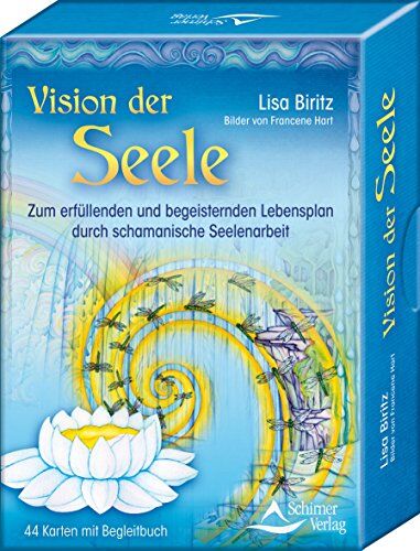 Lisa Biritz - Vision der Seele: Zum erfüllenden und begeisternden Lebensplan durch schamanische Seelenarbeit, Set mit 44 Karten - Preis vom 11.10.2026 03:10:56 h