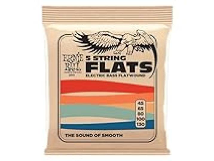 Ernie Ball Cordes à filet plat, pour basse électrique à 5 cordes, calibre 45-130