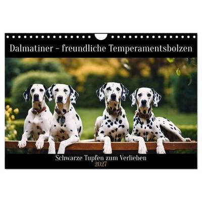 Dalmatiner - freundliche Temperamentsbolzen (Wandkalender 2027 DIN A4 quer), CALVENDO Monatskalender