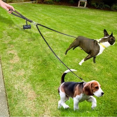 Uplift Picks Two Way No Tangle Double Dog Leash For Walking And Training brown m
