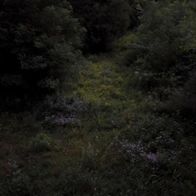 HIGHER LONELY POWER (Cloudy Black Vinyl) - Fireworks, Vinyl