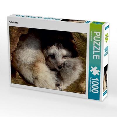 CALVENDO Puzzle Polarfuchs | 1000 Teile Lege-Größe 64x48cm Foto-Puzzle für glückliche Stunden