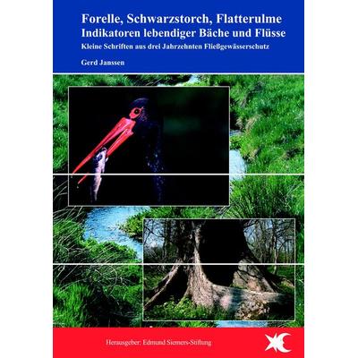 Forelle, Schwarzstorch, Flatterulme - Indikatoren lebendiger Bäche und Flüsse, Taschenbuch von Gerd Janssen, BoD – Books on Demand, 978-3-8334-8791-0