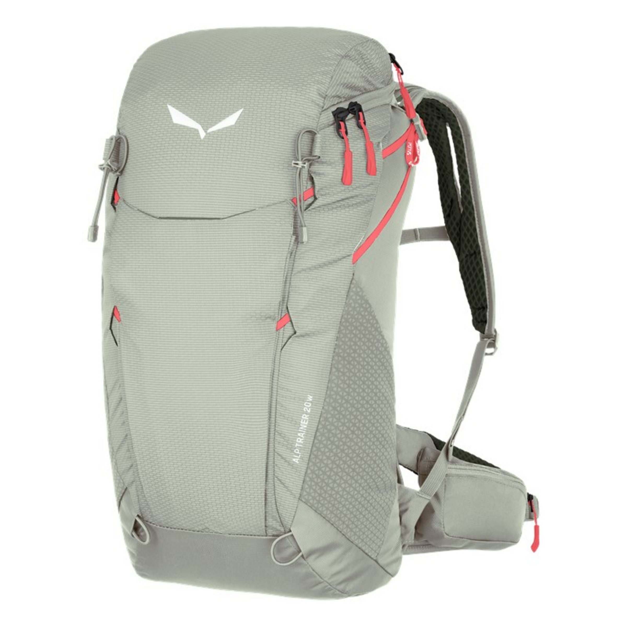 Salewa Alp Trainer 20 Wanderrucksack Wanderrucksack grau Größe 20L Trekking