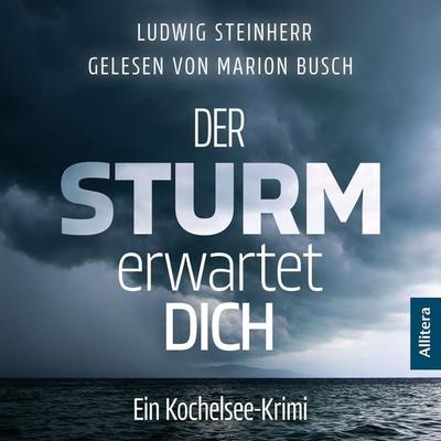 Der Sturm erwartet Dich - Ludwig Steinherr, Audio, 9783988185327