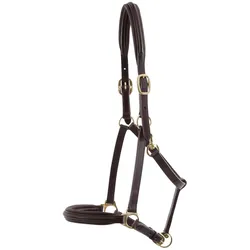 Premier Equine, Halfter