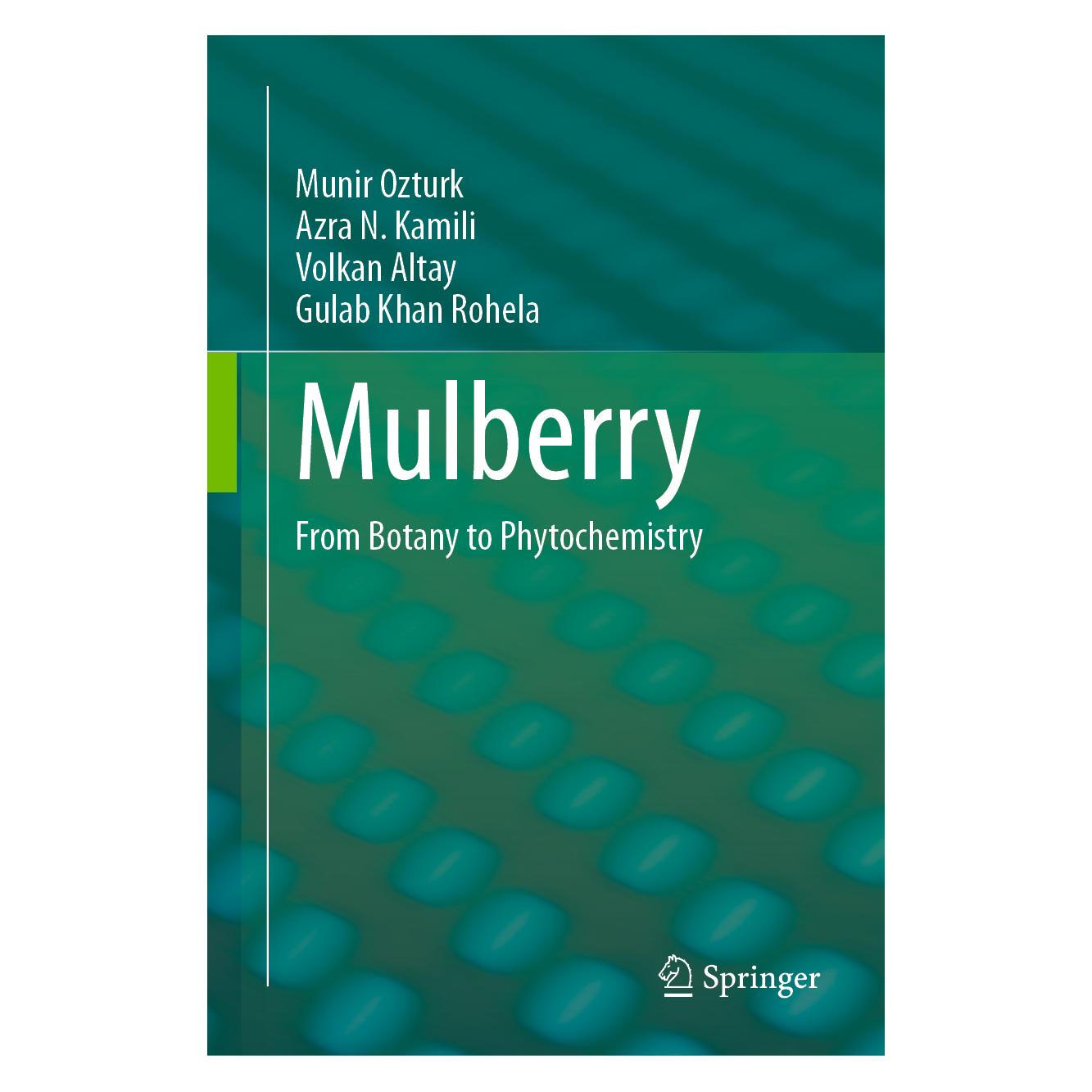 Springer Ozturk:Mulberry (Englisch, Hardcover, Azra N. Kamili, Gulab Khan Rohela, Munir Ozturk, Volkan Altay) (9783031491160)