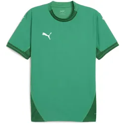PUMA teamFINAL Trikot Herren 05 - sport green/puma white/power green M