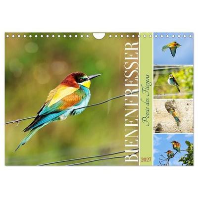 Bienenfresser, Poesie des Fliegens (Wandkalender 2027 DIN A4 quer), CALVENDO Monatskalender