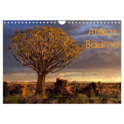 Afrikas Bäume (Wandkalender 2026 DIN A4 quer), CALVENDO Monatskalender