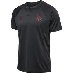 hummel 1. FC Köln Travel Poloshirt 2025/26 1525 - asphalt 3XL