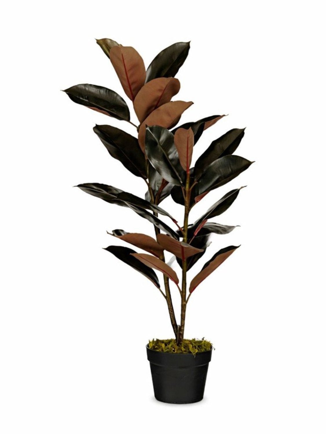 Kunstplant Rubberplant Rood met pot