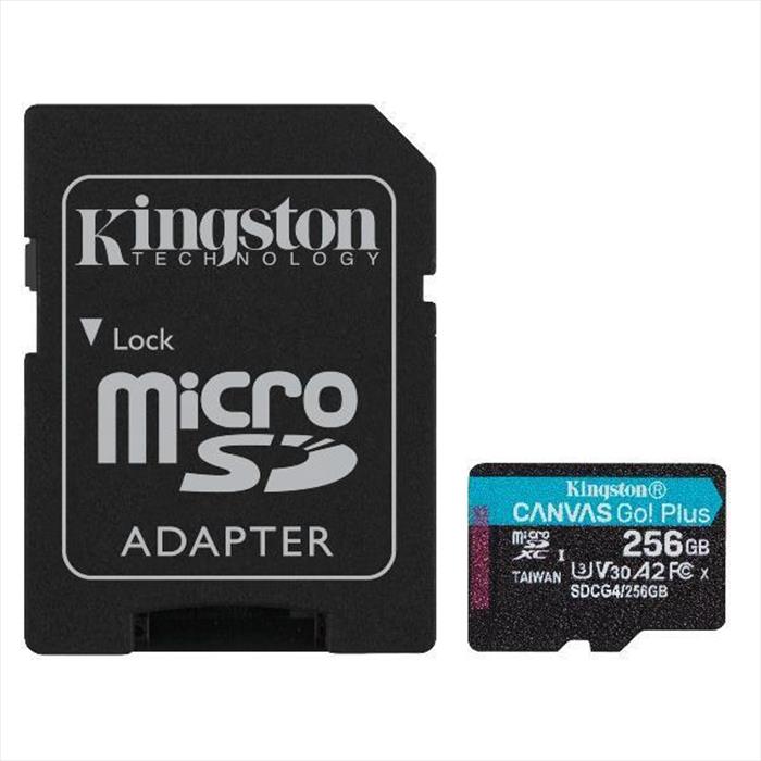 Kingston Micro Sd Sdcg4256gb-nero