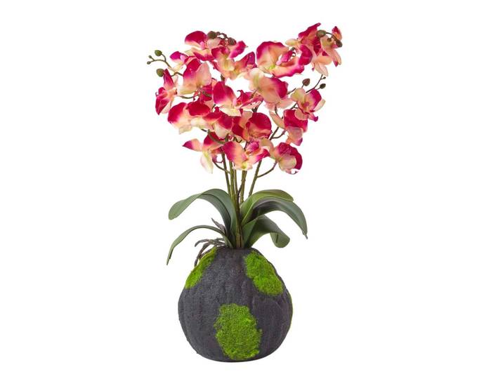 KUNSTBLUME Orchidee pink-apricot mit Moos-Sockel, 60 cm
