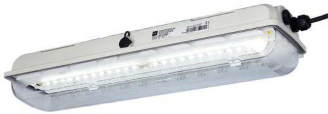 R. STAHL Ex-LED-lampe longue 6002/4128-010 18W 700 × 184 × 125mm gris clair (267058)