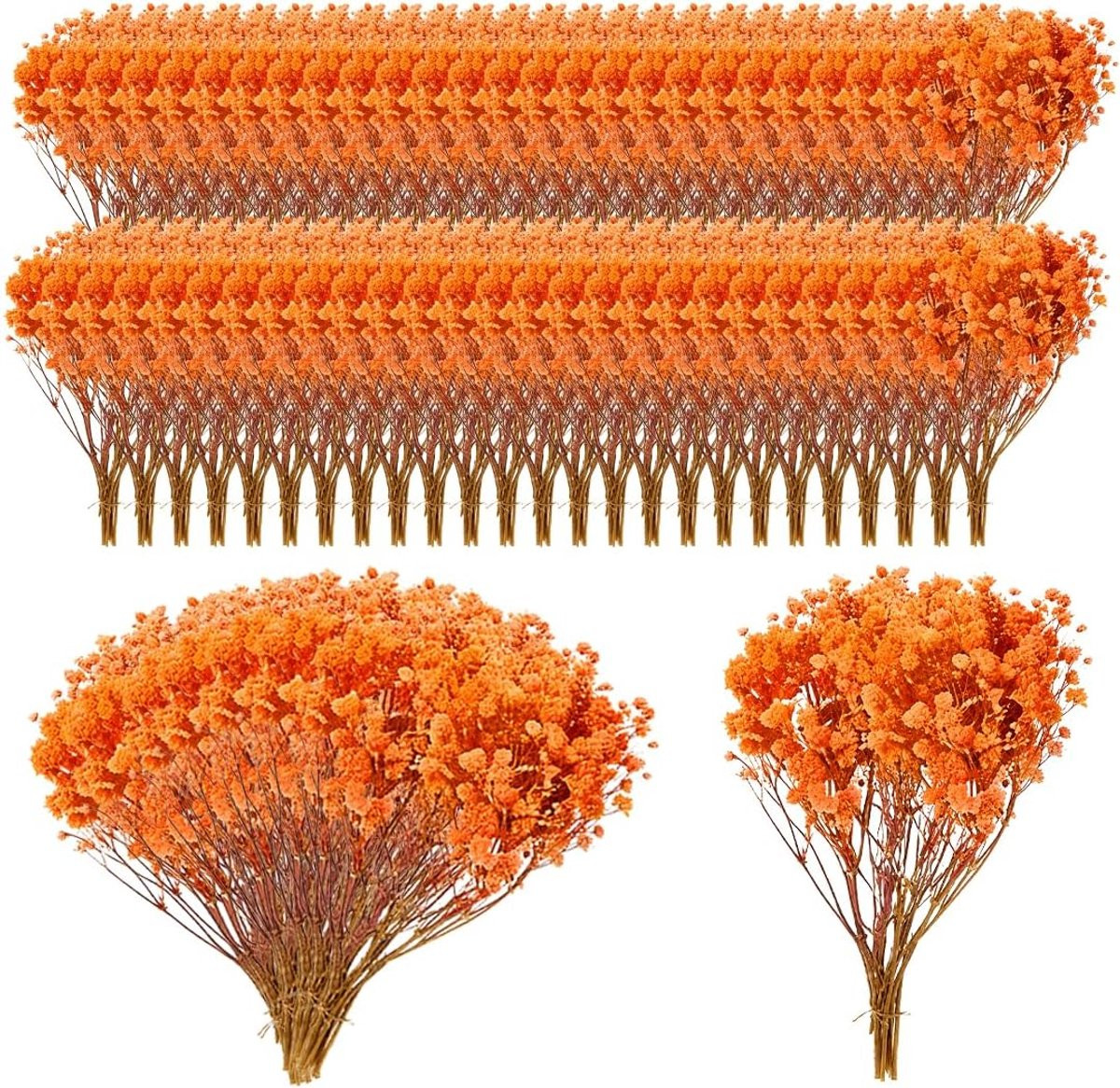 Oranje mini gedroogde gipskruid voor botanische monsters en fotolijsten
